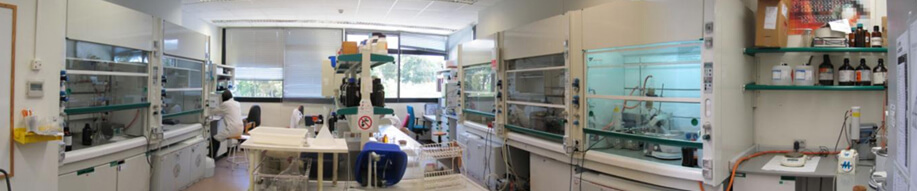 Laboratory immunoassays E08